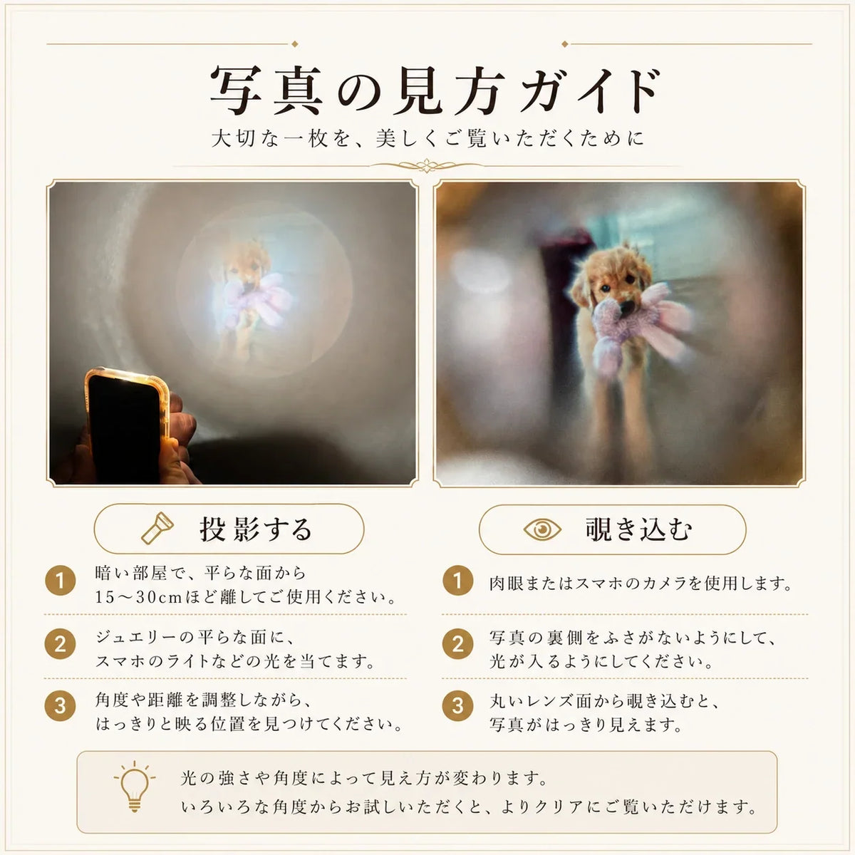 写真の見方ガイド